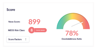 Link2Bank score preview